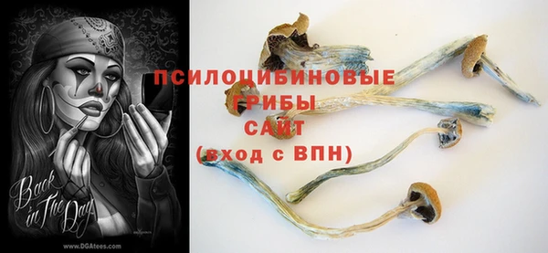 метамфетамин Лагань
