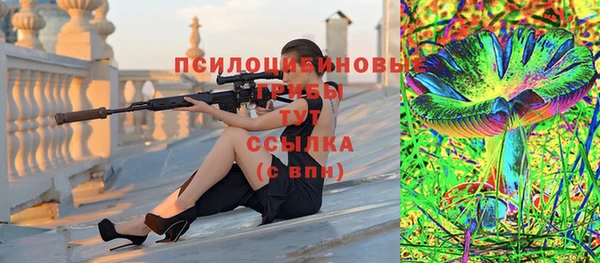 Альфа ПВП Ладушкин