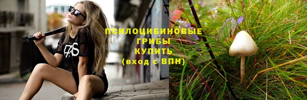 Альфа ПВП Ладушкин
