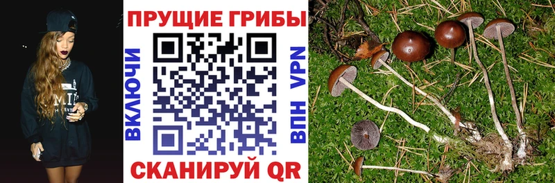 Галлюциногенные грибы мухоморы  Томмот 